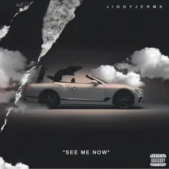 See Me Now - Single by JiggyJerms album reviews, ratings, credits