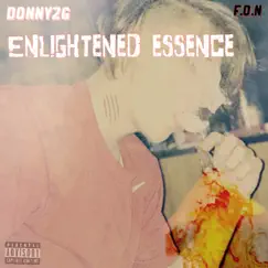 Enlightened Essence - Single by Donny2g album reviews, ratings, credits