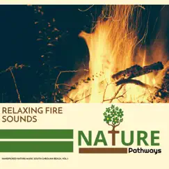 Relaxing Fire Sounds - Handpicked Nature Music South Carolina Beach, Vol.5 by Various Artists album reviews, ratings, credits