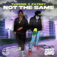 Not the Same (feat. Fatboy SSE) - Single by Tússsin album reviews, ratings, credits