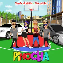 Pinocha (feat. Verzatilex) Song Lyrics
