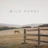 Wild Horse - Single album lyrics, reviews, download