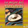 Colección De Oro: Lo Mejor Del Mariachi, Vol. 2 album lyrics, reviews, download