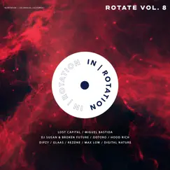 Rotate Vol 8 by IN / ROTATION album reviews, ratings, credits