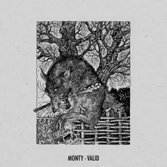 Valid - Single by Monty album reviews, ratings, credits