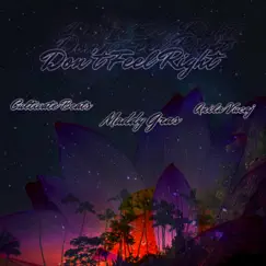 Don't Feel Right (feat. Maddy Gras & Anila Vucaj) Song Lyrics
