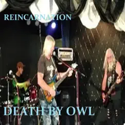 Reincarnation - Single by DEATH BY OWL album reviews, ratings, credits