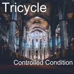 Controlled Condition - Single by Tricycle album reviews, ratings, credits