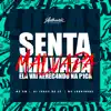 Senta Malvada - Ela Vai Xerec4ndo na P1ca (feat. MC GW & Mc Luquinhas) - Single album lyrics, reviews, download