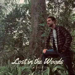 Lost in the Woods Song Lyrics