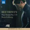 Beethoven 32, Vol. 1: Piano Sonatas Nos. 1-3 album lyrics, reviews, download