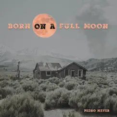 Born on a Full Moon - Single by Pedro Meyer album reviews, ratings, credits