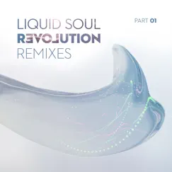 Revolution Remixes, Pt. 1 by Liquid Soul album reviews, ratings, credits