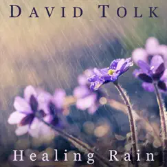 Healing Rain - Single by David Tolk album reviews, ratings, credits