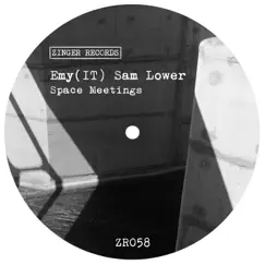 Space Meetings - Single by EMY & Sam Lower album reviews, ratings, credits