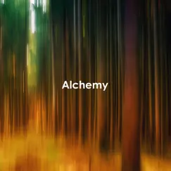 Alchemy - Single by Niwel album reviews, ratings, credits