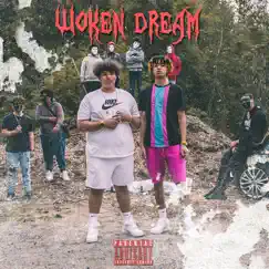 Woken Dream (feat. SmokeAsh) - Single by Lil Dimes album reviews, ratings, credits