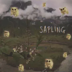 The Sapling by Taotli album reviews, ratings, credits