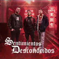 Sentimientos Desconocidos - Single by Los Inefables album reviews, ratings, credits