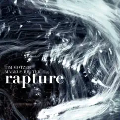 Rapture by Tim Motzer & Markus Reuter album reviews, ratings, credits