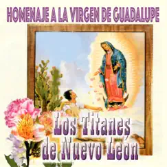 Mi Virgen Ranchera Song Lyrics