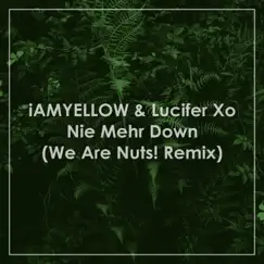 Nie mehr down (We Are Nuts! Remix) [feat. iAMYELLOW] - Single by Lucifer Xo & FCKSHT album reviews, ratings, credits