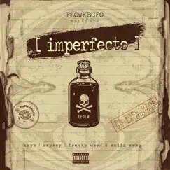 Imperfecto (feat. Reyrey & Freaky Weed & Calin Swag) Song Lyrics