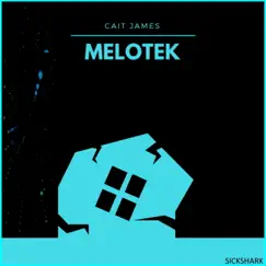 Melotek Song Lyrics