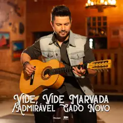 Vide Vida Marvada / Admirável Gado Novo - Single by Zéh Enrique album reviews, ratings, credits