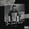 You Could Never - Single album lyrics, reviews, download