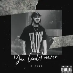 You Could Never - Single by P Fire album reviews, ratings, credits