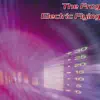 Electric Fling - Single album lyrics, reviews, download