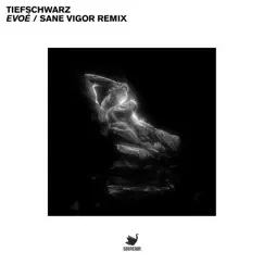 Evoé (Sane Vigor Remix) - Single by Tiefschwarz album reviews, ratings, credits