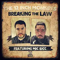 Breaking the Law (feat. Mic Sicc) Song Lyrics