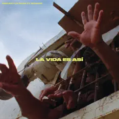 La Vida Es Así (feat. Shaddy) - Single by Mozart La Para album reviews, ratings, credits