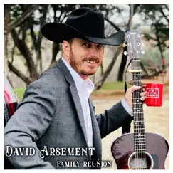 Family Reunion - Single by David Arsement album reviews, ratings, credits