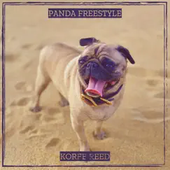 Panda Freestyle Song Lyrics