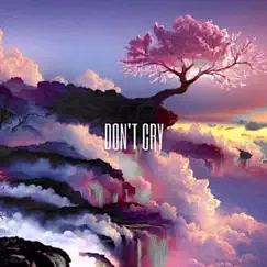 Don't Cry (feat. SuperDuperWavey, Cortez & Nvrmndfrvr) - Single by NVR/MND album reviews, ratings, credits