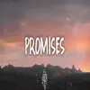 Promises (feat. DatBoiiBigK) - Single album lyrics, reviews, download