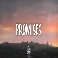 Promises (feat. DatBoiiBigK) Song Lyrics