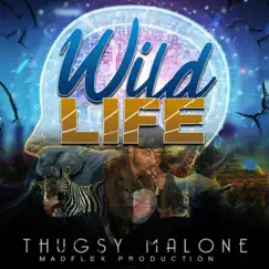 Wild Life - Single by Thugsy Malone album reviews, ratings, credits
