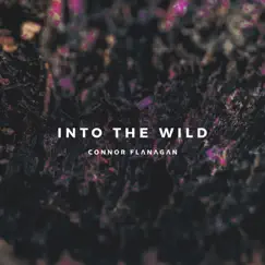 Into the Wild (feat. Robbie Madison) - Single by Connor Flanagan album reviews, ratings, credits