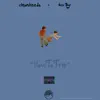 How to Trip (feat. Nate Day) - Single album lyrics, reviews, download