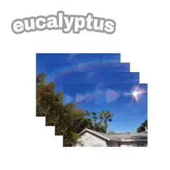 Eucalyptus (Instrumental) - Single by Nando Fabian album reviews, ratings, credits