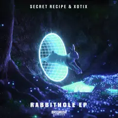 Rabbithole Song Lyrics