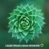 Liquid Drum & Bass Sessions 2019 Vol 3 album lyrics, reviews, download
