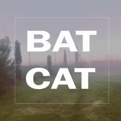 Camino/Sueño by Bat Cat album reviews, ratings, credits