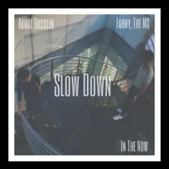 SLOW DOWN (feat. Akmal Hussein & IN THE NOW) - Single by Fahmy. album reviews, ratings, credits