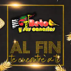 Al Fin Te Encontré a Ti by Beto y Sus Canarios album reviews, ratings, credits