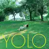 Yolo - Single album lyrics, reviews, download